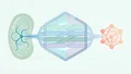 Data integration and ontologies for microbial cell factories — project cover